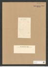 Cocconeis pseudomarginata Greg. (de-Toni-Nr.: Genus 40, Species 1851) Zeichnungen Sammlung Grunow Nr. 3670 (NHMW-BOT-W0371285)